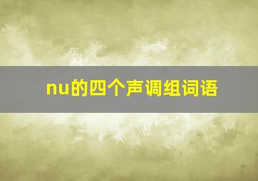 nu的四个声调组词语