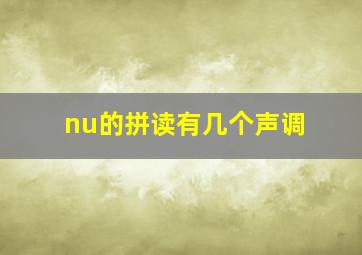 nu的拼读有几个声调