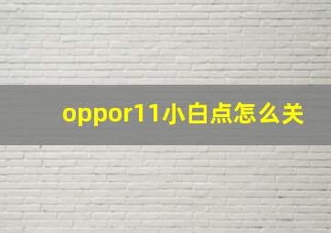 oppor11小白点怎么关