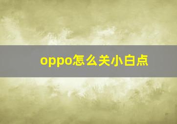 oppo怎么关小白点