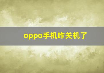 oppo手机咋关机了