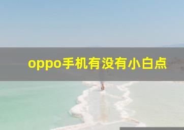 oppo手机有没有小白点