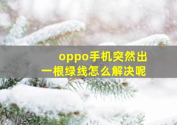 oppo手机突然出一根绿线怎么解决呢