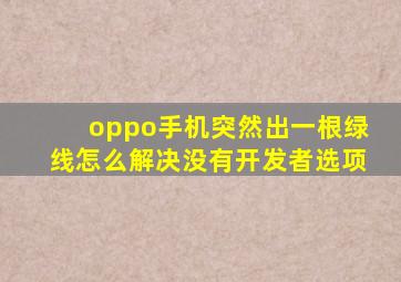 oppo手机突然出一根绿线怎么解决没有开发者选项