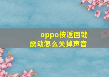 oppo按返回键震动怎么关掉声音