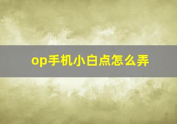 op手机小白点怎么弄