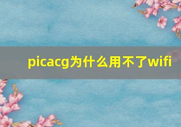 picacg为什么用不了wifi