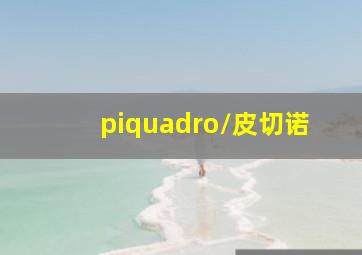 piquadro/皮切诺