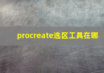 procreate选区工具在哪