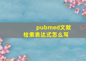 pubmed文献检索表达式怎么写