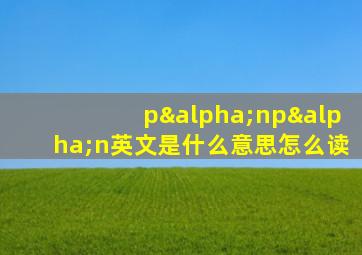 pαnpαn英文是什么意思怎么读