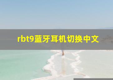 rbt9蓝牙耳机切换中文