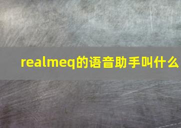 realmeq的语音助手叫什么