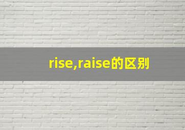 rise,raise的区别