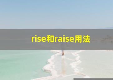 rise和raise用法