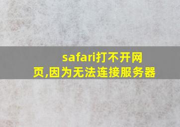 safari打不开网页,因为无法连接服务器