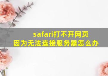 safari打不开网页因为无法连接服务器怎么办