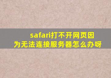 safari打不开网页因为无法连接服务器怎么办呀