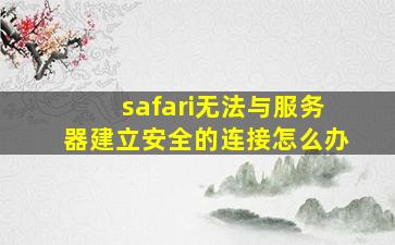 safari无法与服务器建立安全的连接怎么办