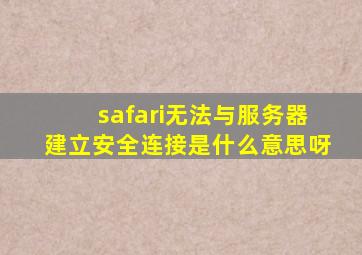 safari无法与服务器建立安全连接是什么意思呀