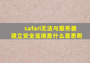 safari无法与服务器建立安全连接是什么意思啊