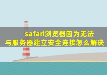 safari浏览器因为无法与服务器建立安全连接怎么解决