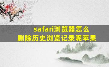 safari浏览器怎么删除历史浏览记录呢苹果