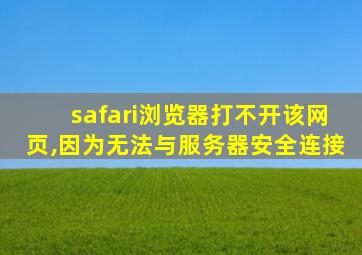 safari浏览器打不开该网页,因为无法与服务器安全连接