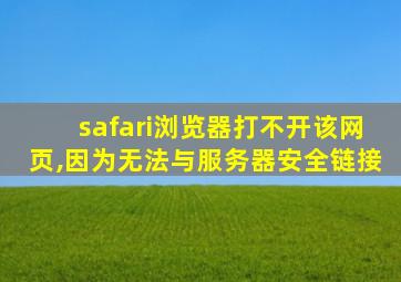 safari浏览器打不开该网页,因为无法与服务器安全链接