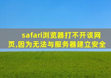 safari浏览器打不开该网页,因为无法与服务器建立安全