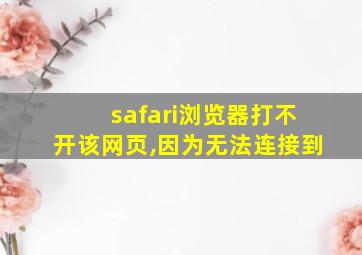 safari浏览器打不开该网页,因为无法连接到