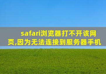 safari浏览器打不开该网页,因为无法连接到服务器手机