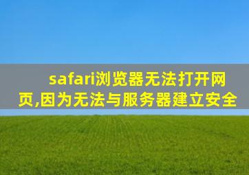 safari浏览器无法打开网页,因为无法与服务器建立安全