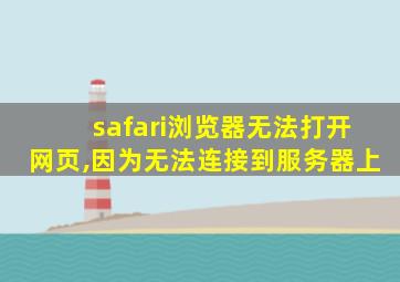 safari浏览器无法打开网页,因为无法连接到服务器上