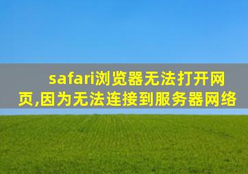 safari浏览器无法打开网页,因为无法连接到服务器网络