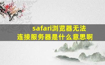 safari浏览器无法连接服务器是什么意思啊