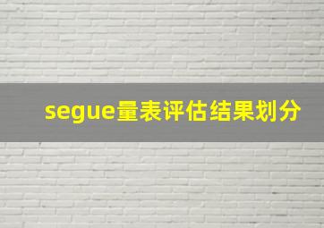 segue量表评估结果划分