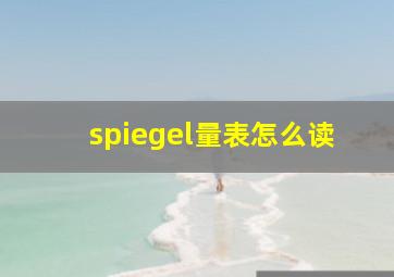 spiegel量表怎么读