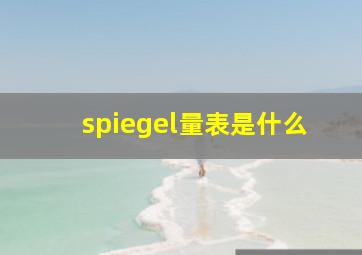 spiegel量表是什么