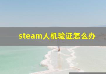 steam人机验证怎么办