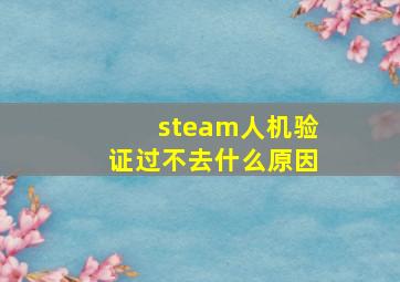 steam人机验证过不去什么原因