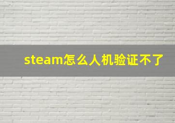 steam怎么人机验证不了