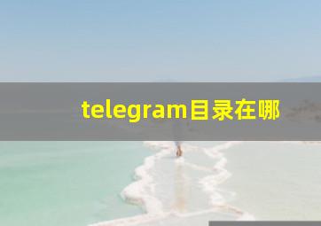 telegram目录在哪