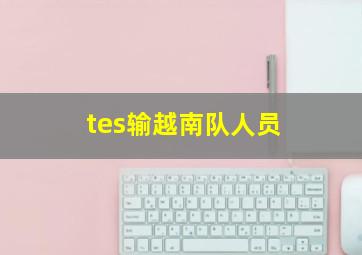 tes输越南队人员