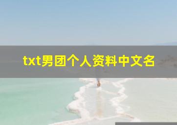 txt男团个人资料中文名