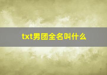 txt男团全名叫什么