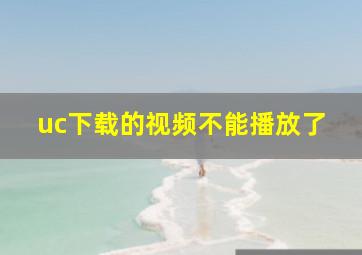 uc下载的视频不能播放了