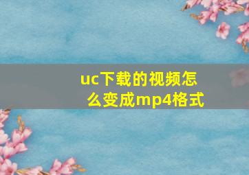 uc下载的视频怎么变成mp4格式