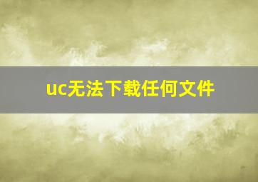 uc无法下载任何文件