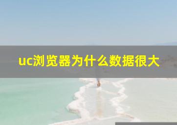 uc浏览器为什么数据很大